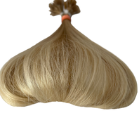 Středoevropské vlasy, SVĚTLÁ BLOND 10-19 cm